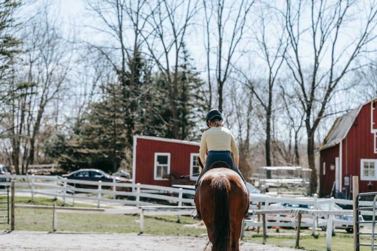 Warum ist Reiten ein Sport? sportprovinz.de