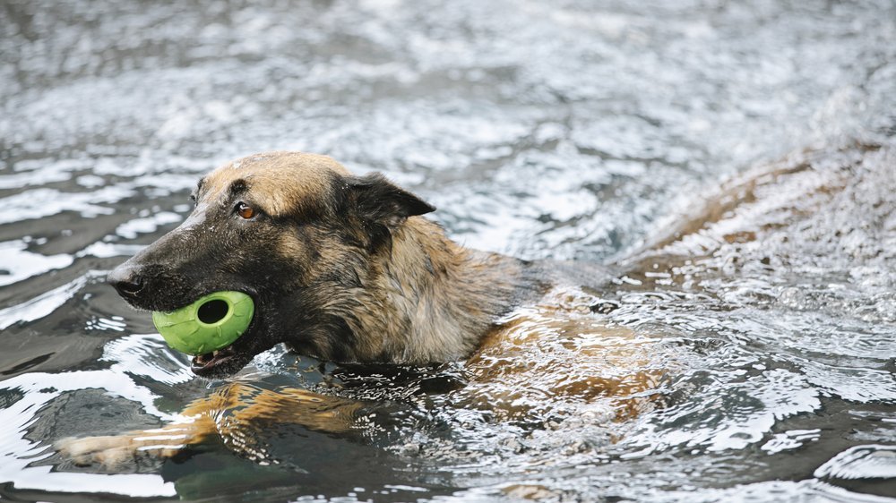 1 km schwimmen zeit