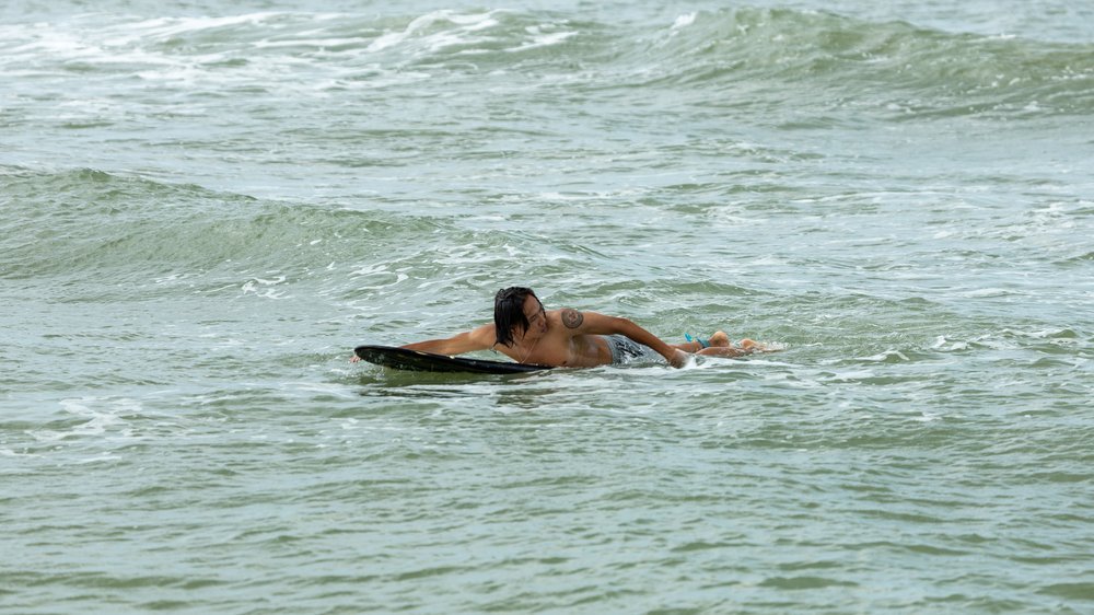 können eichhörnchen schwimmen