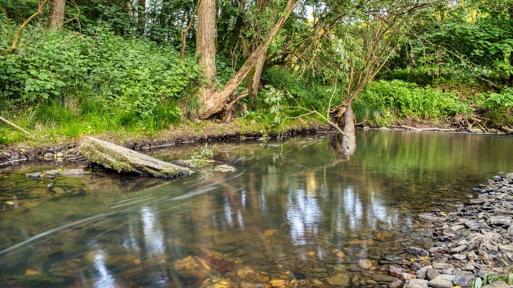 wahnbachtalsperre schwimmen